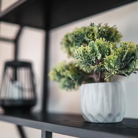 Flexhome Moderne *
